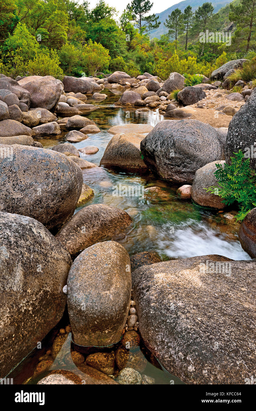 Riesige Felsen und das durchsichtige Wasser des Gebirgsflusses, der von den grünen Hügeln und den Tälern umgeben ist Stockfoto