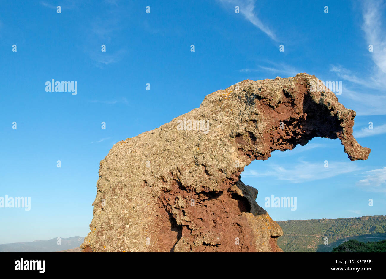 Italien, Sardinien, Olbia Tempio Provinz, Multeddu, Roccia dell'Elefante, dunklem Trachyt Block vom Wind wie ein Elefant geschnitzt Stockfoto