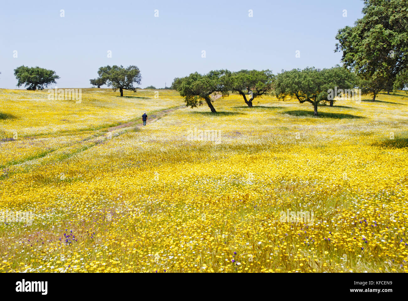 Frühling in Alentejo, Portugal Stockfoto