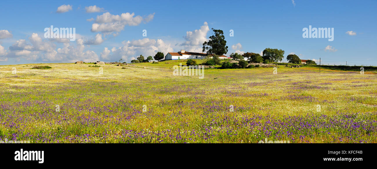 Eine Farm in den weiten Ebenen des Alentejo, Portugal Arraiolos. Stockfoto
