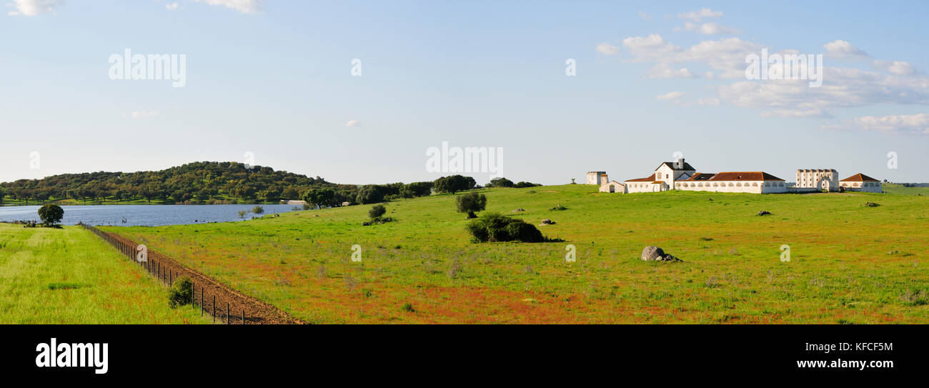 Ein Bauernhof in den weiten Ebenen von Evora. Alentejo, Portugal Stockfoto