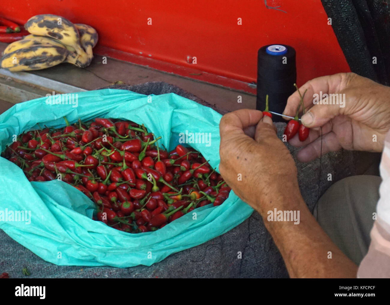 Chilischoten Stockfoto