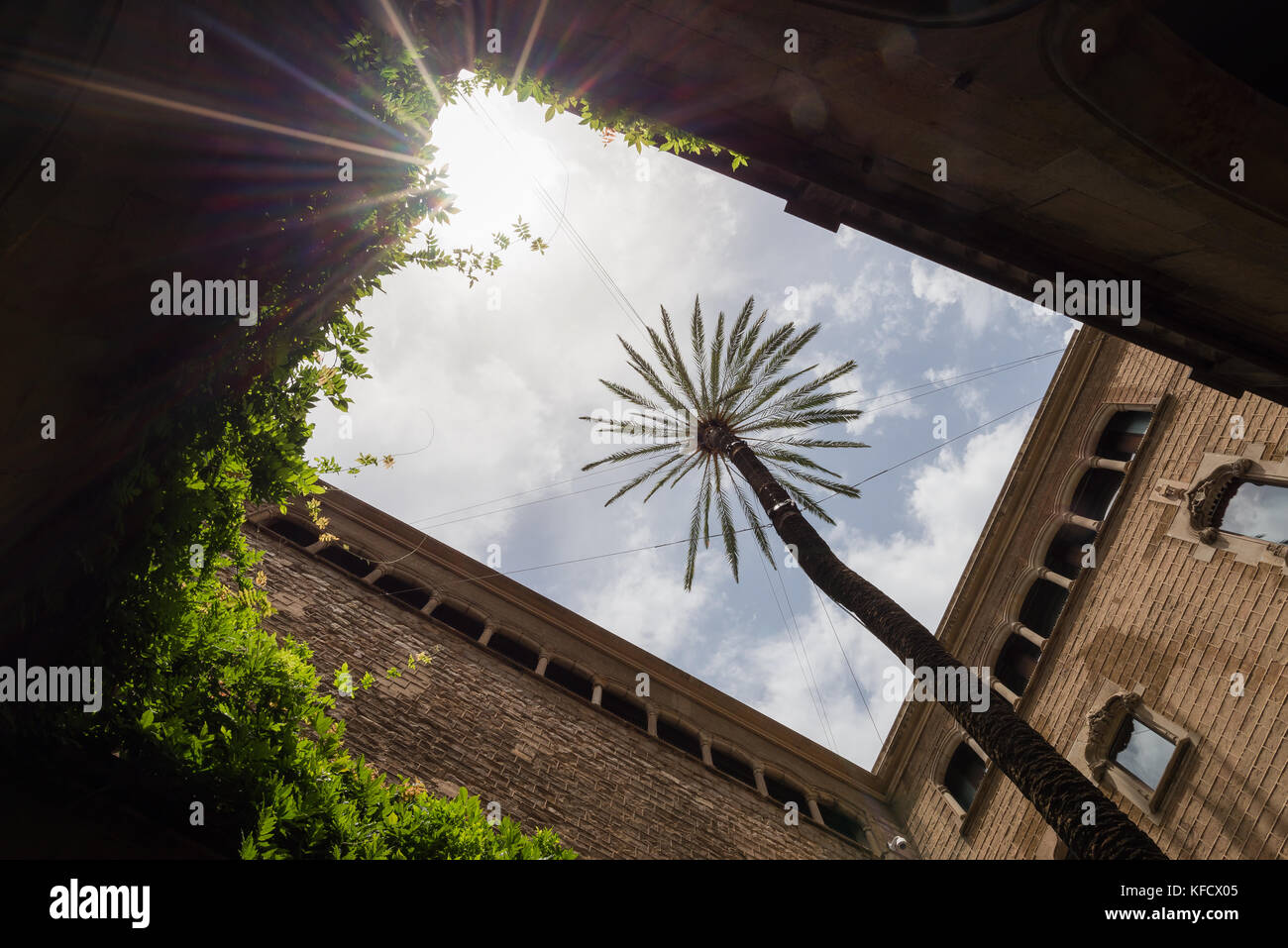 Barcelona Innenhof mit Palmen Stockfoto