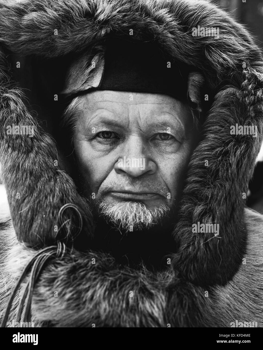 Finnland, Levi, Kongas, Portrait von Reijo Jaaskelainen. Er ist der Eigentümer des Levi Huskypark. Er ist ein Husky Züchter und Treiber. Stockfoto