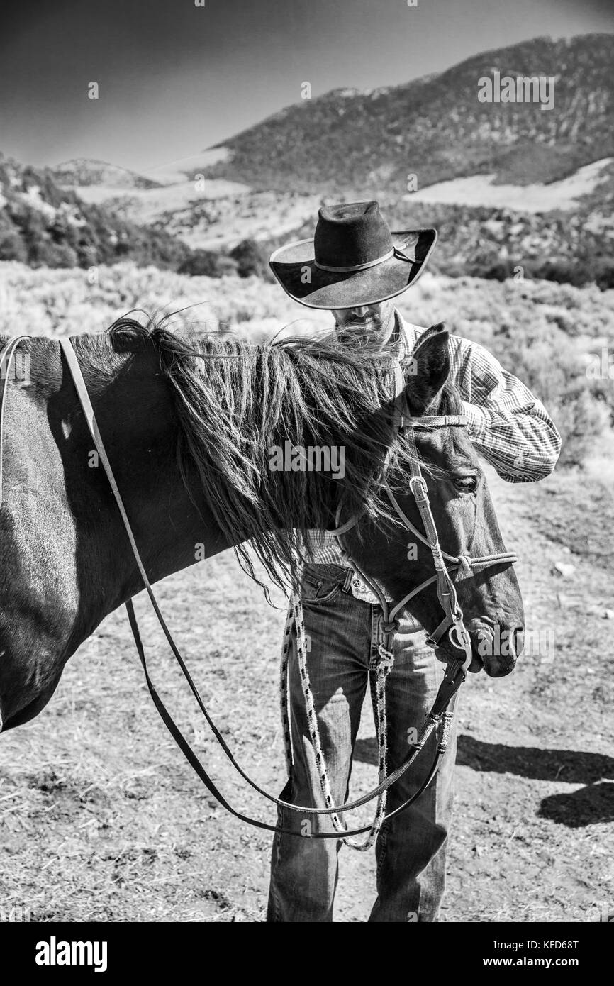 USA, Nevada, Brunnen, Cowboy und Wrangler Ton Nannini bereitet sich für eine Horse-Drawn Wagen Fahrt am Mustang Monument, einer nachhaltigen Luxus umweltfreundliche Reso Stockfoto
