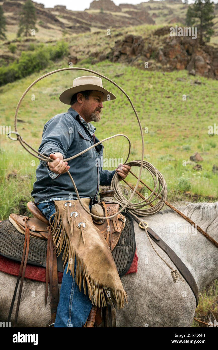USA, Oregon, Joseph, Cowboy Todd Nash bewegt seine Rinder aus dem Wild Horse Creek, Big Sheep Creek Creek Lenken Stockfoto