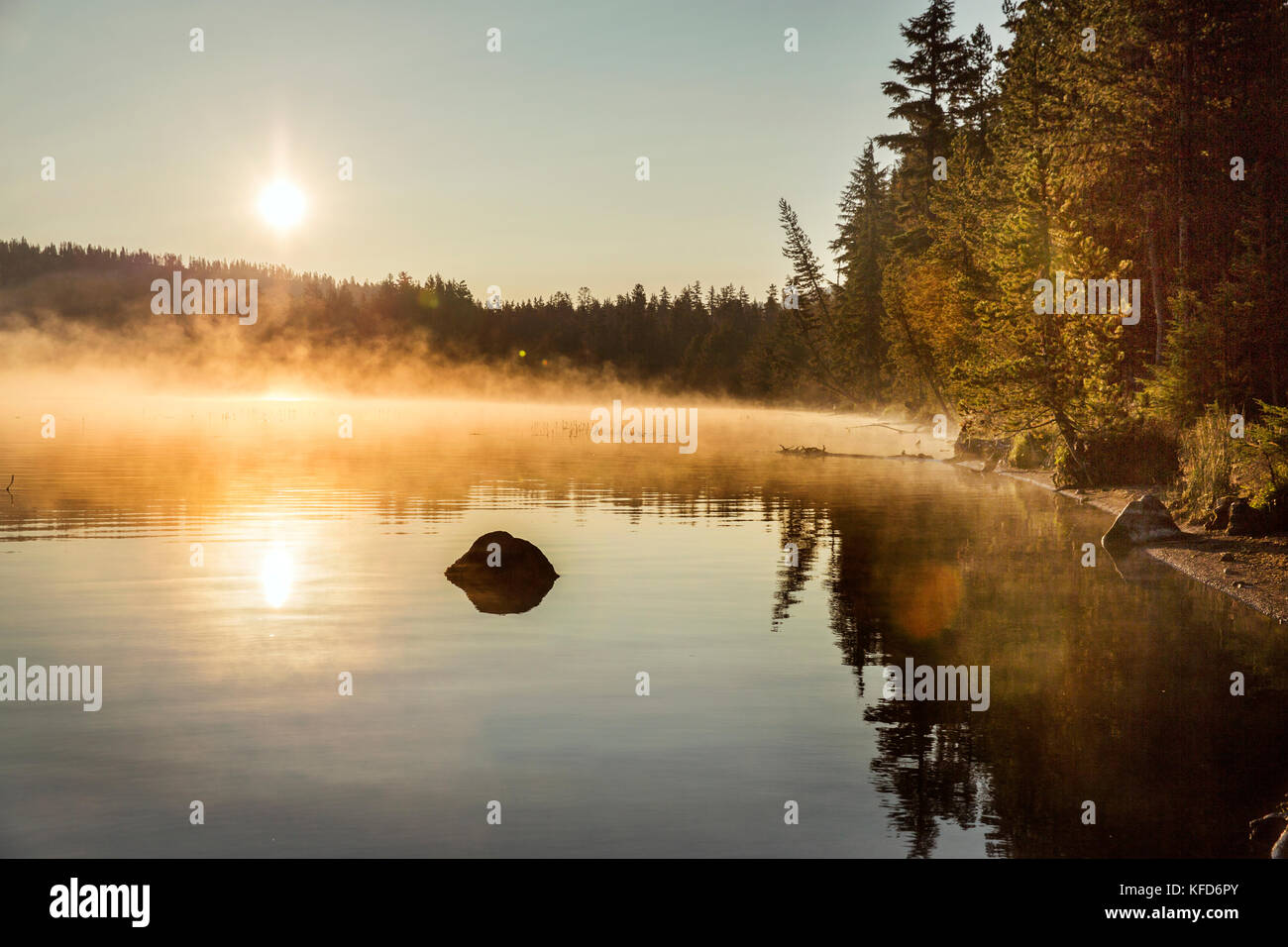 Usa, Oregon, Paulina Lake, braun Kanone, die am frühen Morgen Nebel aus der Küstenlinie von Paulina Lake Stockfoto