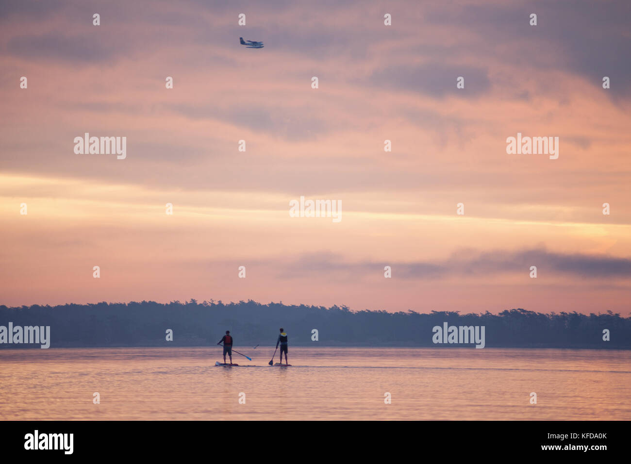 Am frühen Morgen Paddel Boarder bei Weiden Strand, Victoria BC Kanada Stockfoto