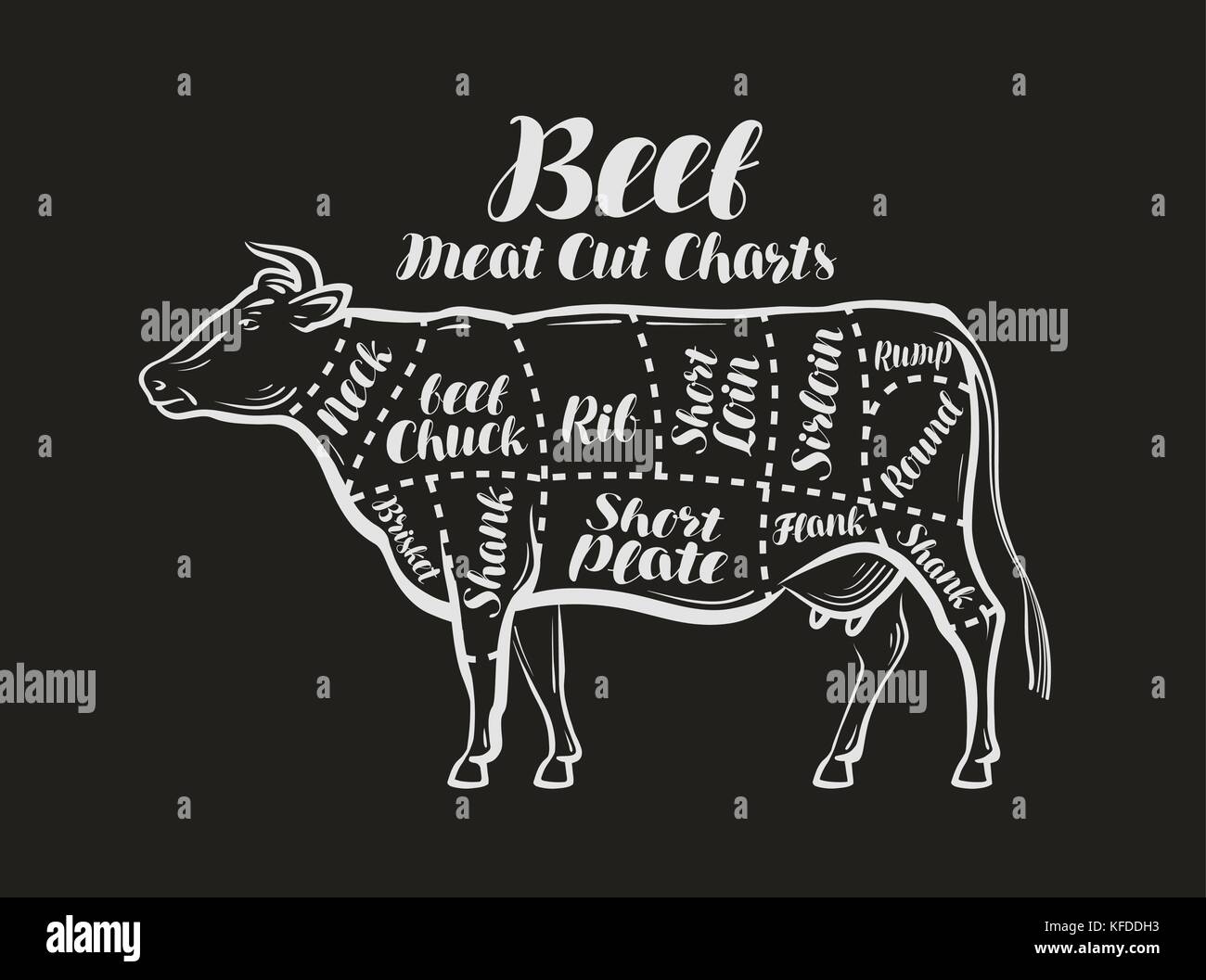 Fleischschnitttabellen. Kuh, Rindfleisch-Konzept. Menü Restaurant oder Metzgerei. Vektorabbildung Stock Vektor