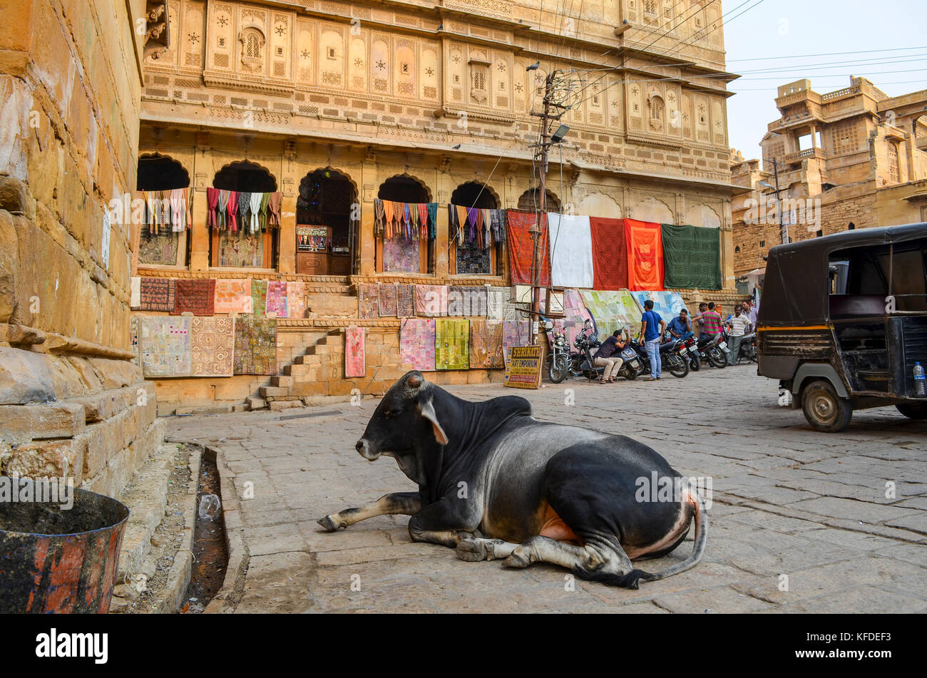 Eine heilige Kuh liegend auf der Straße in Jaisalmer, Indien. Stockfoto