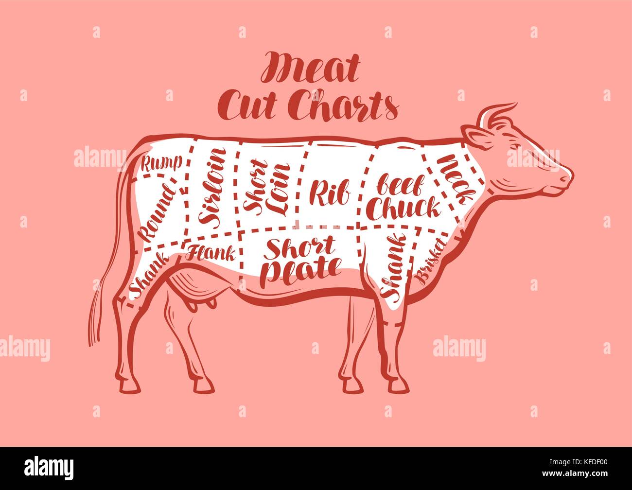 Kuh, Rindfleisch, Fleischstücke. Schema oder Diagramme für die Metzgerei. Vektorabbildung Stock Vektor
