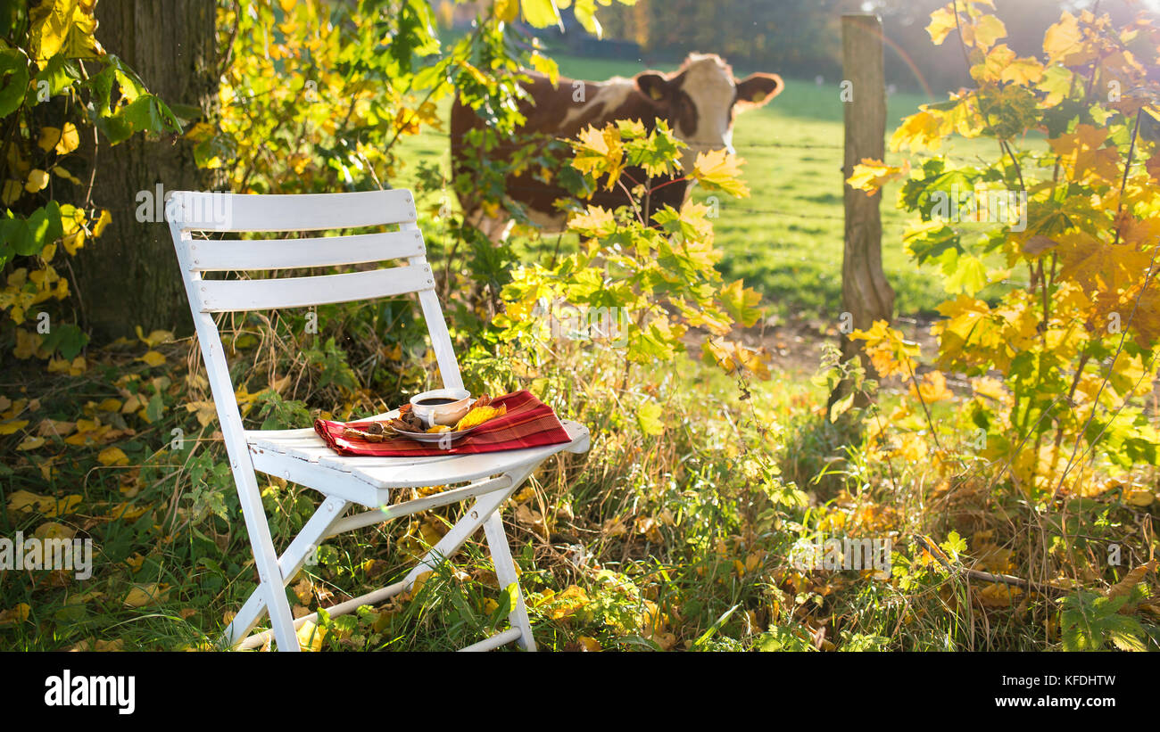 Wundervolle Herbstlandschaft mit Kuh - Stuhl wartet mit Tasse Kaffee Stockfoto
