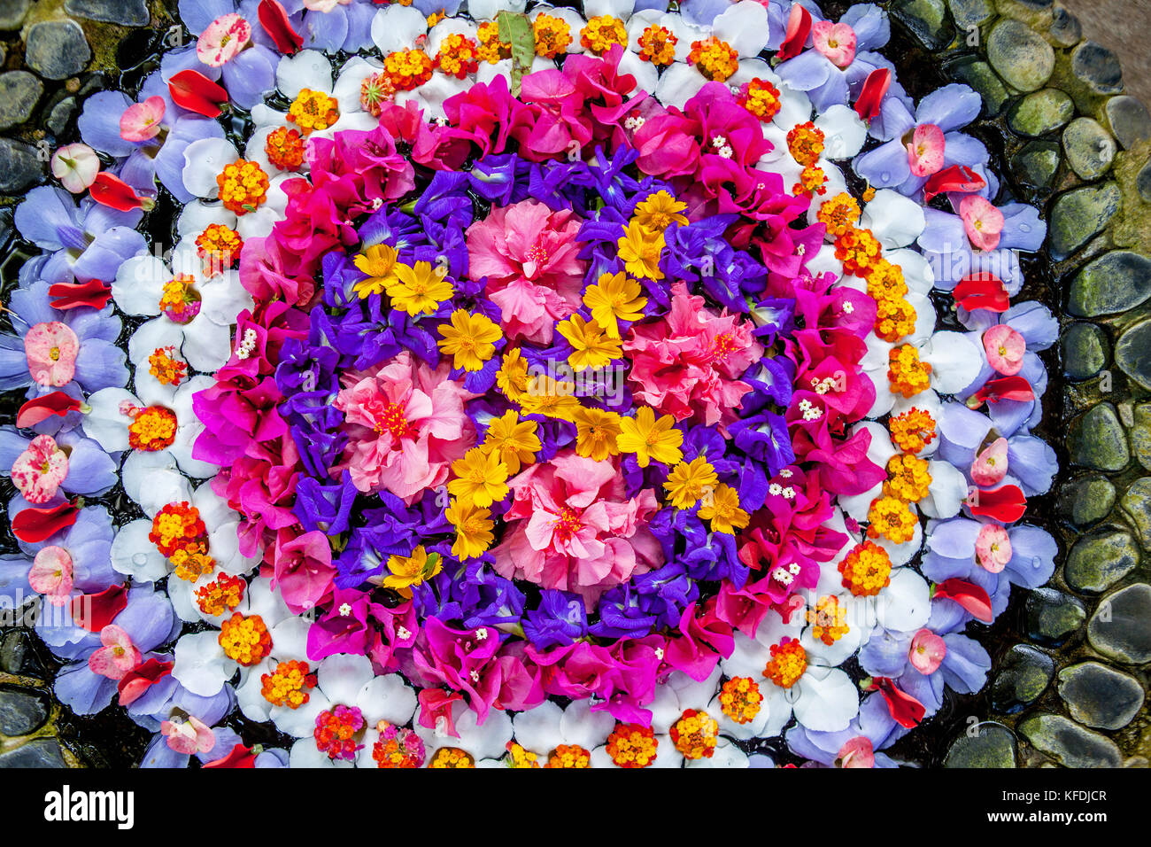 Eine schöne Runde dekoratives Arrangement aus frischen, tropischen Blüten. Stockfoto