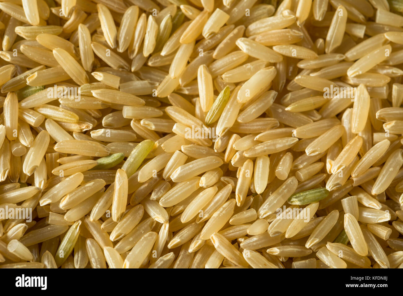 Trockene organische Wilden langen braunen Reis in eine Schüssel geben. Stockfoto