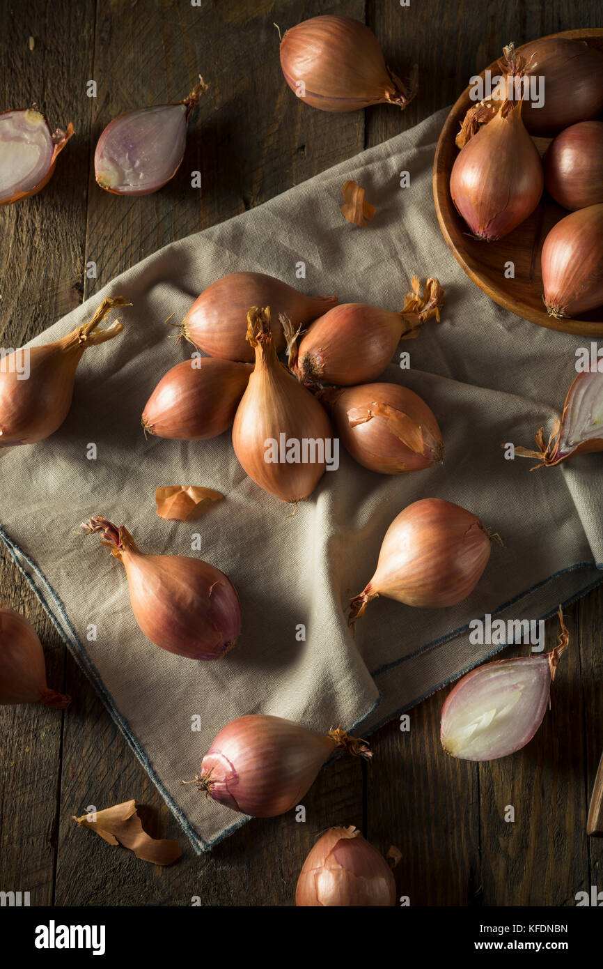 Raw organic Schalotten Zwiebeln einsatzbereit Stockfoto