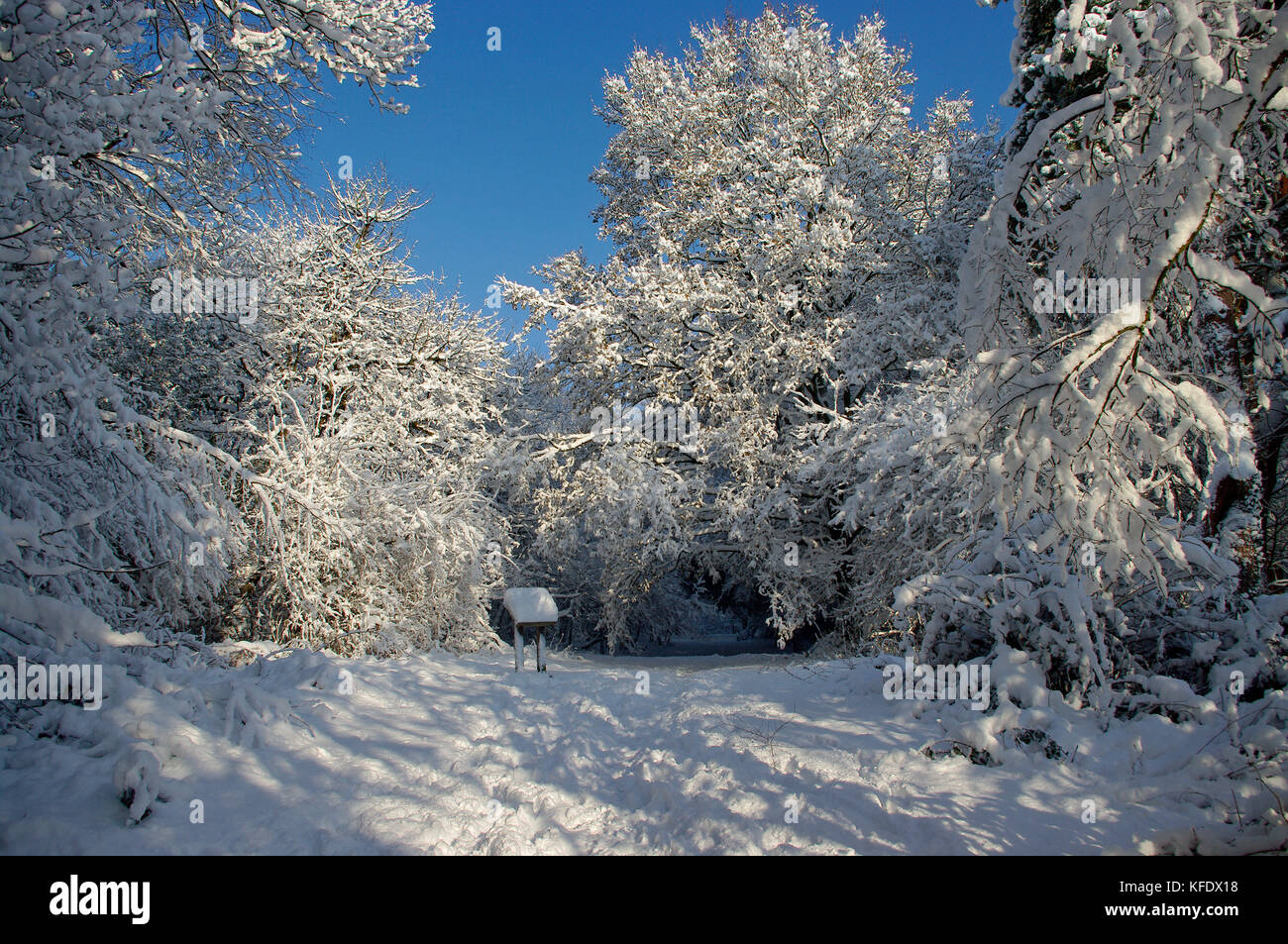 Southborough gemeinsame im Schnee Stockfoto