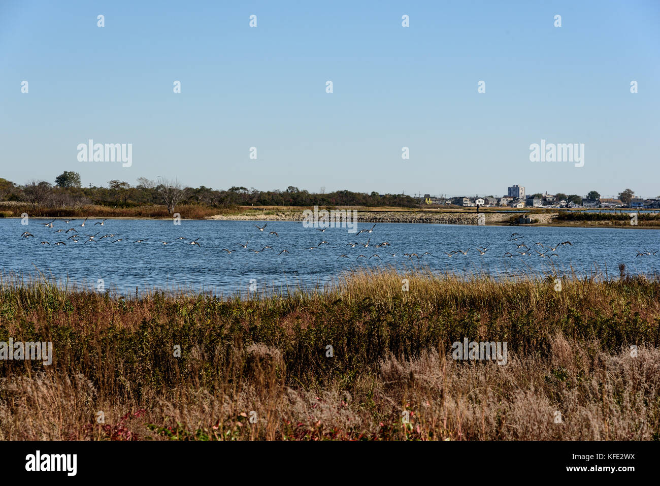 Fallen auf Jamaica Bay, Queens, New York Stockfoto