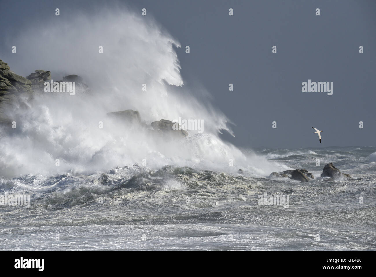 Stürmische See - Hurrikan Ophelia, Isles of Scilly Stockfoto