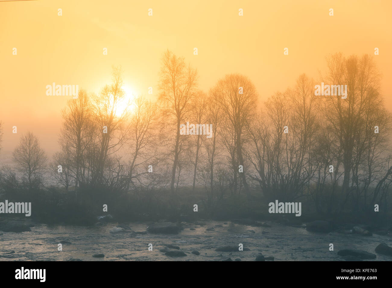 Eine schöne, bunte misty morning Landschaft am Fluss. norwegische Wetter im Herbst. ruhigen Morgen Landschaft. Stockfoto