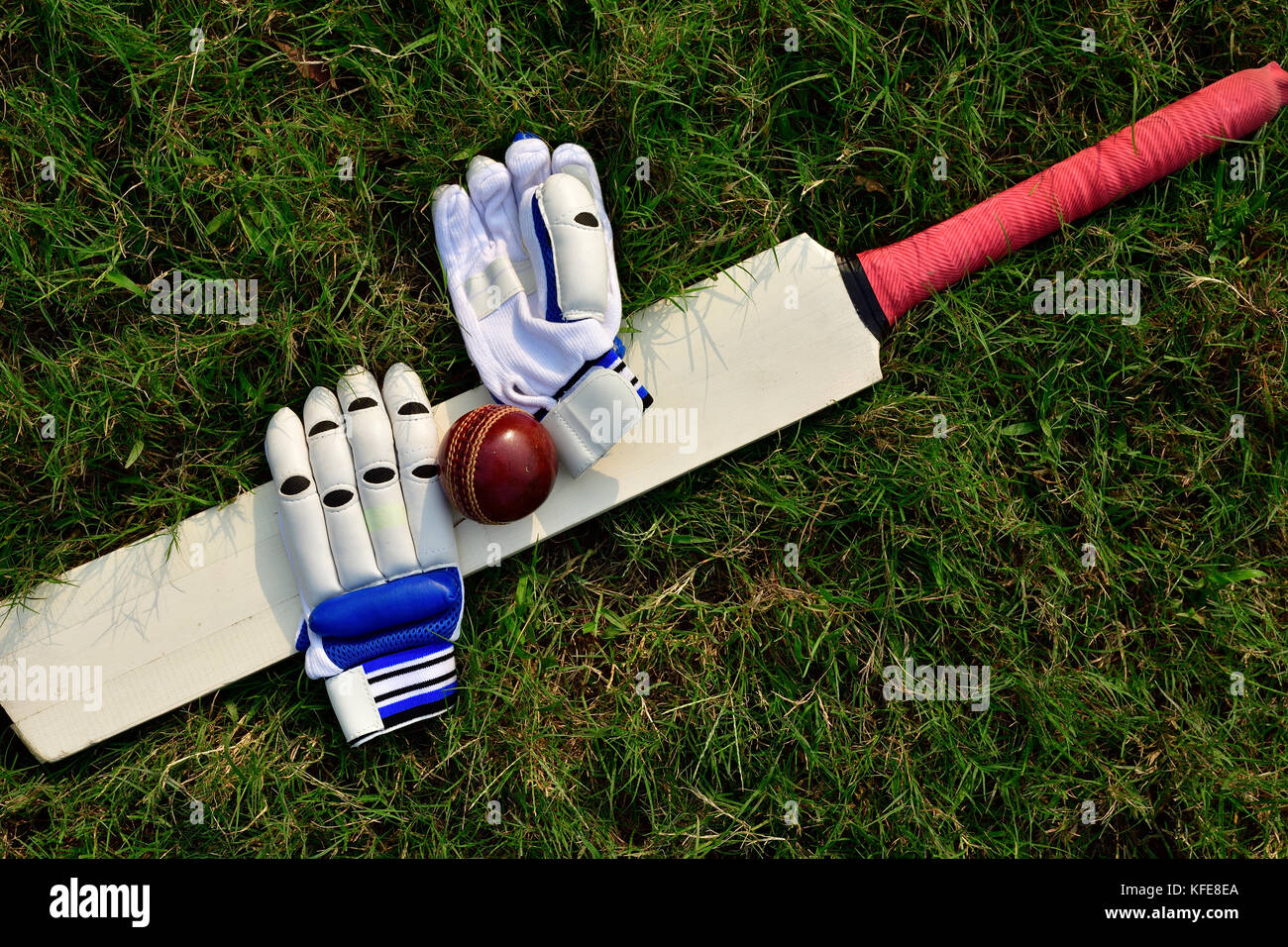 Cricket Handschuhe und Schläger auf grünem Gras Stockfoto