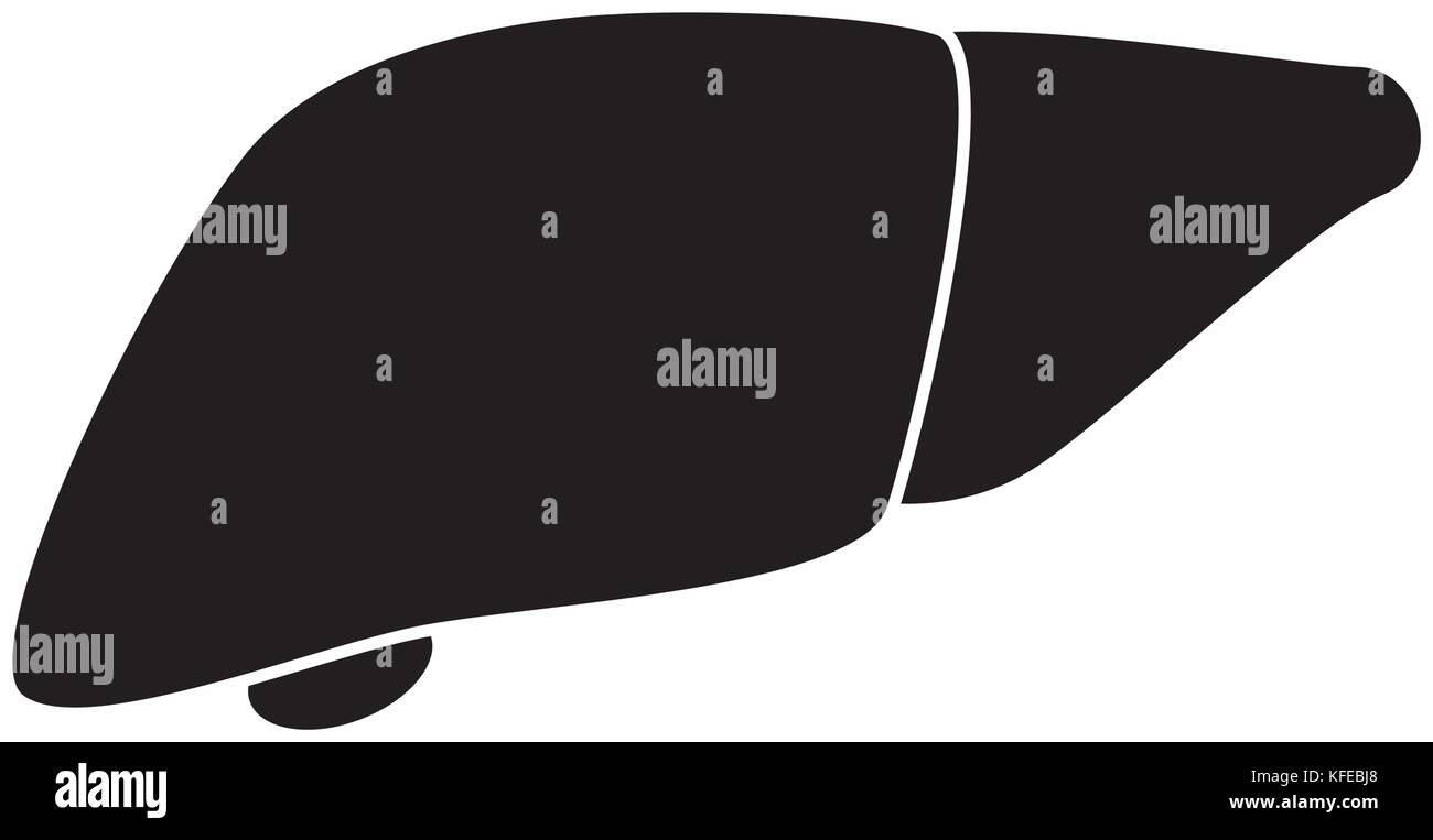 Leber Anatomie kaufen Alamy