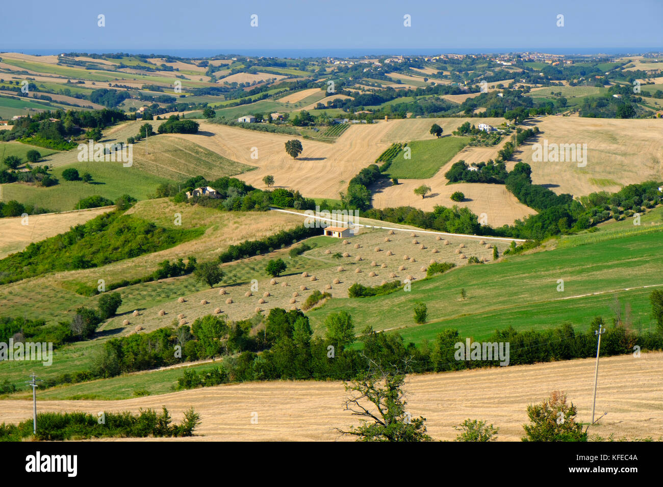 Ländliche Landschaft im Sommer in der Nähe von barchi (Pesaro und Urbino, Marken, Italien) Stockfoto