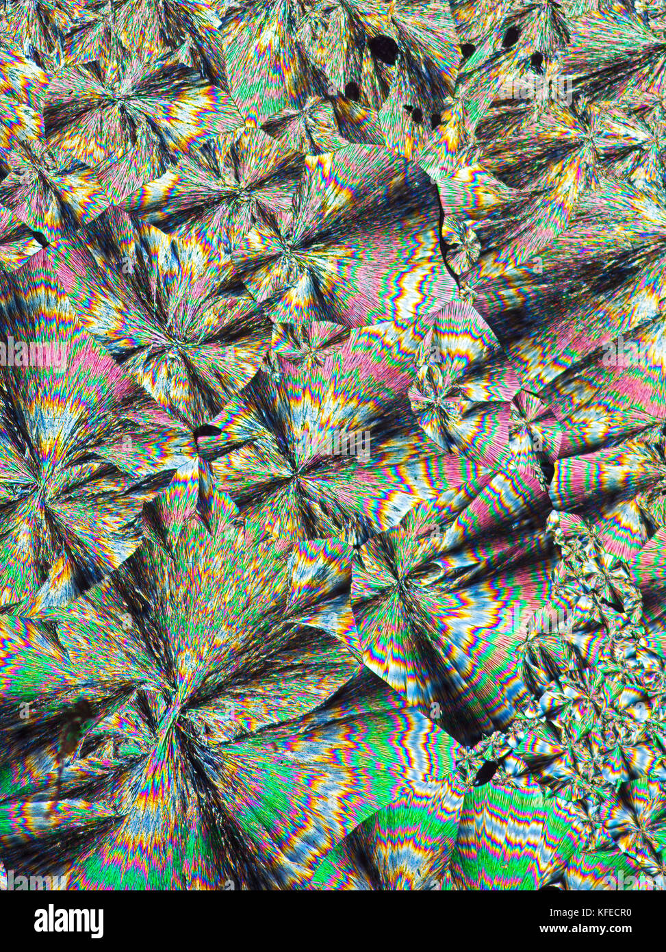 Cinchonidine Cinchonidine microslide schmelzen, ist ein Alkaloid, das in Cinchona officinalis und Gongronema latifolium gefunden, Kreuz polarisiert photomicrograph Stockfoto