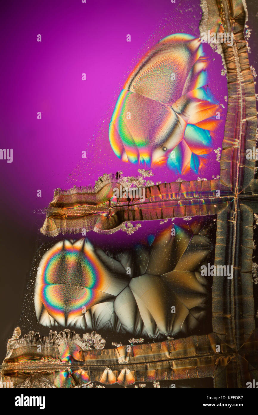 Vitamin C Crystals, spektakuläre mit Verzögerung platte Kreuz polarisierte Folie hinzugefügt, photomicrograph Stockfoto