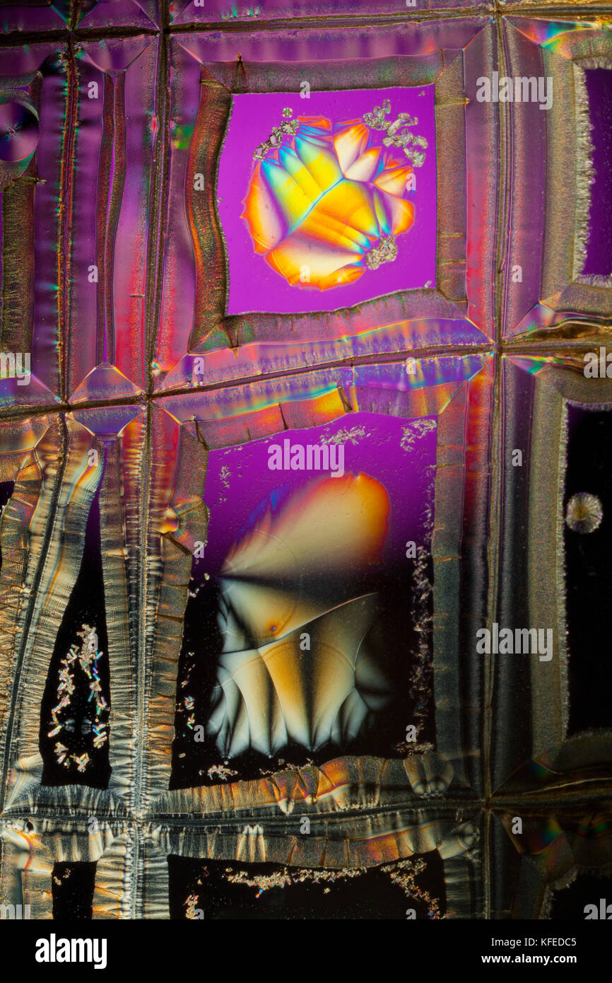 Vitamin C Crystals, spektakuläre mit Verzögerung platte Kreuz polarisierte Folie hinzugefügt, photomicrograph Stockfoto