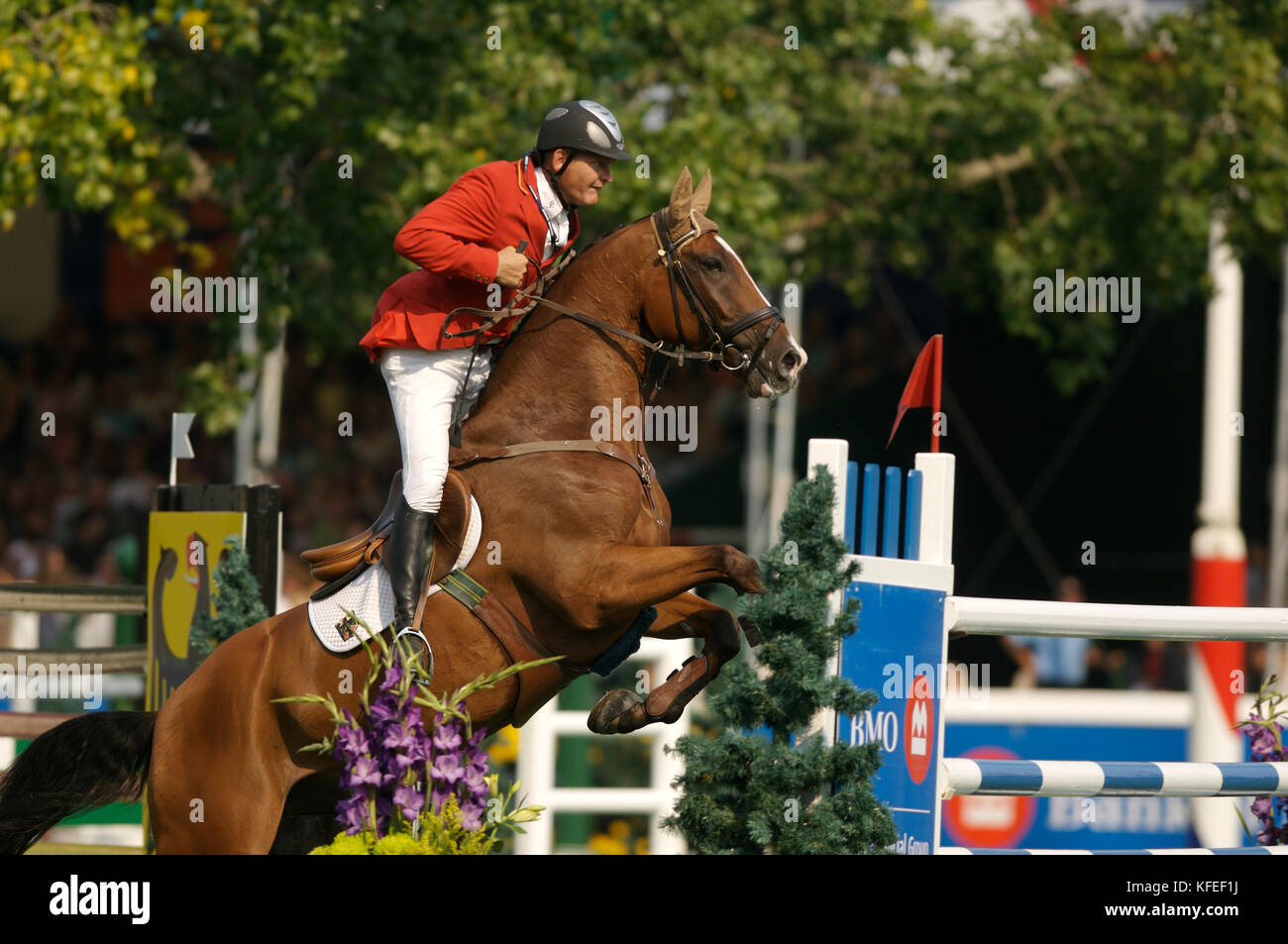 Springreiten engemann -Fotos und -Bildmaterial in hoher Auflösung – Alamy