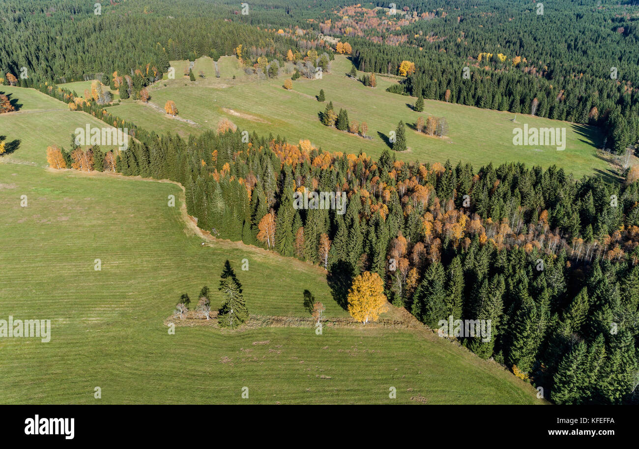 Luftaufnahme auf chalupska Moor im Herbst, Nationalpark Sumava, tschechische Republik. Stockfoto