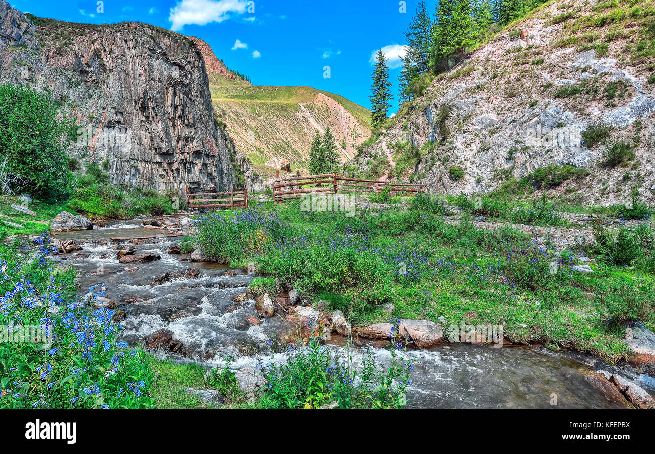 Sonnigen Sommer Bergwelt mit blauen Blumen auf dem steinigen Ufer des schnellen Fluss zwischen den Kalksteinfelsen und sandigen Hügel, Berge von alt Stockfoto