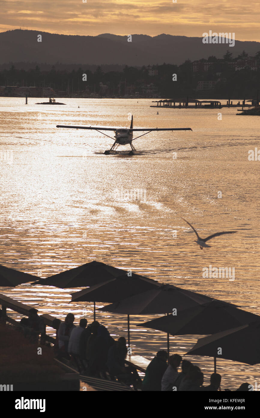 Wasserflugzeug im Victoria Hafen bei Sonnenuntergang. Victoria BC Kanada Stockfoto