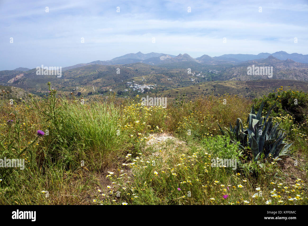 Grüne Landschaft in der Mitte der Insel Naxos, Kykladen, Ägäis, Griechenland Stockfoto