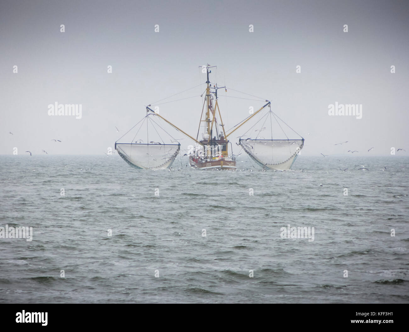Ein krabbenkutter ist die Fischerei der Nordsee in der Nähe der Deutschen Insel Langeoog im Wattenmeer Stockfoto