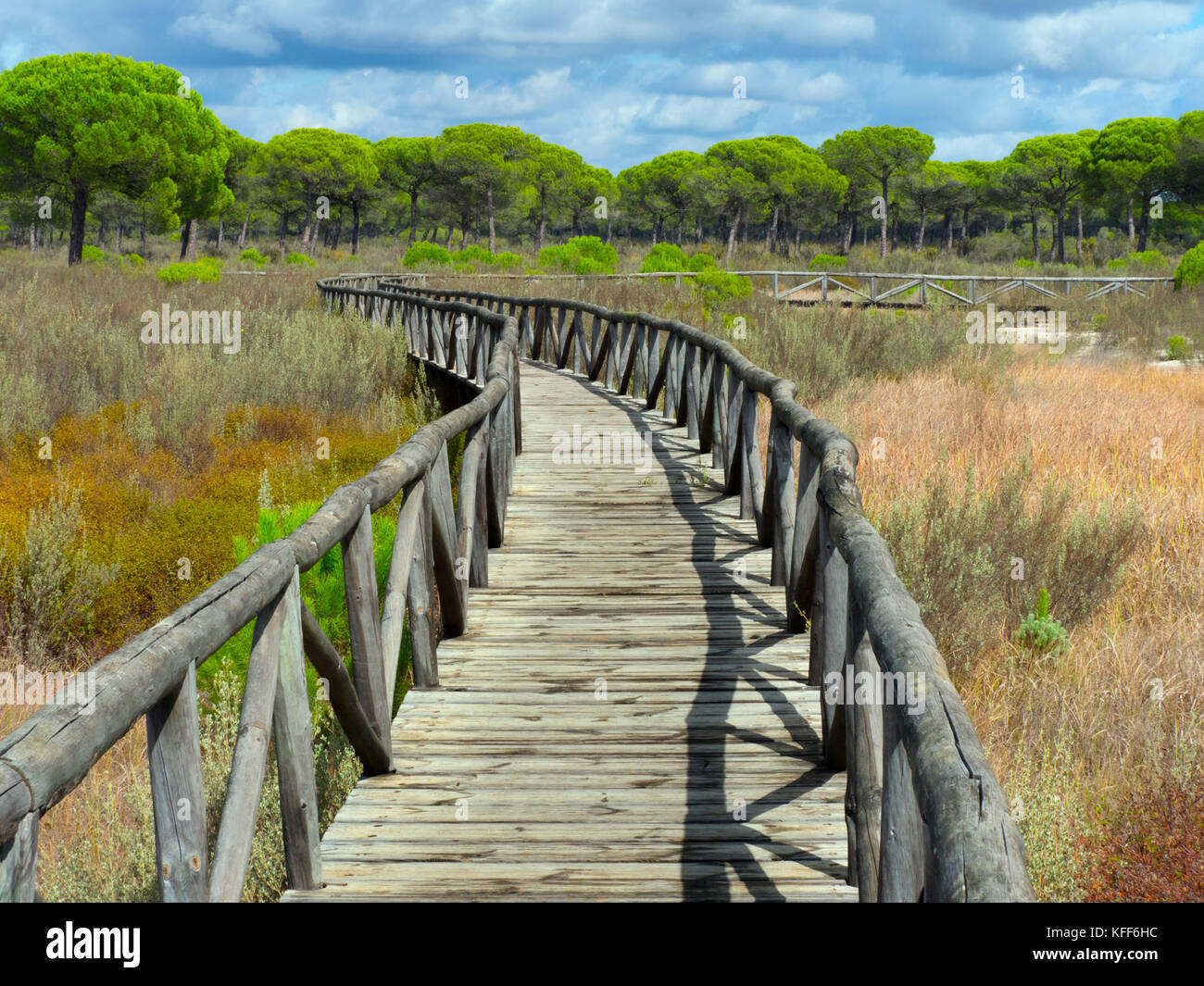 Boardwalk im Parque Nacional de Doñana, Almonte, Spanien Stockfoto