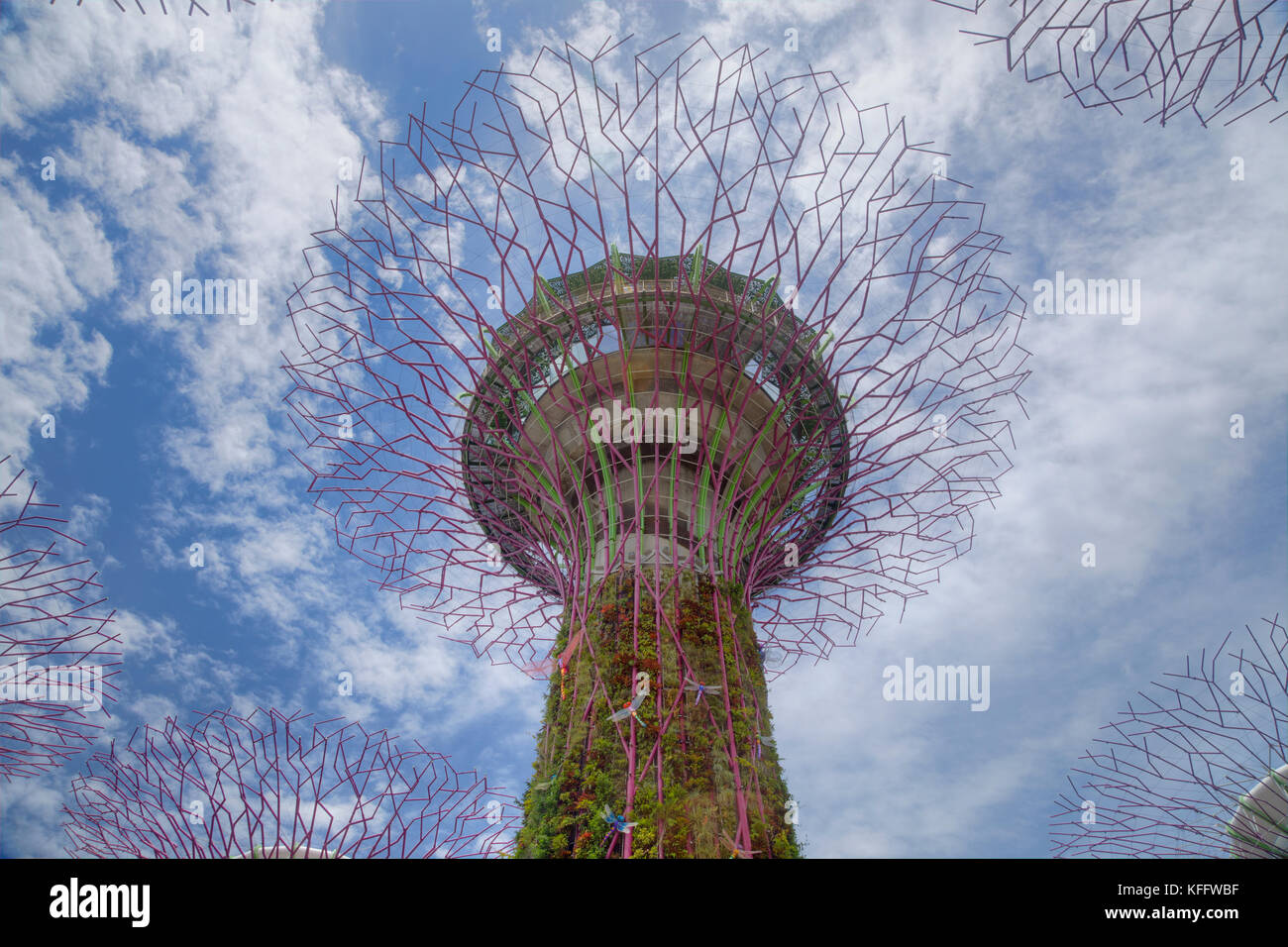 Supertrees Marina Bay Gardens Singapore TV 000446 Stockfoto