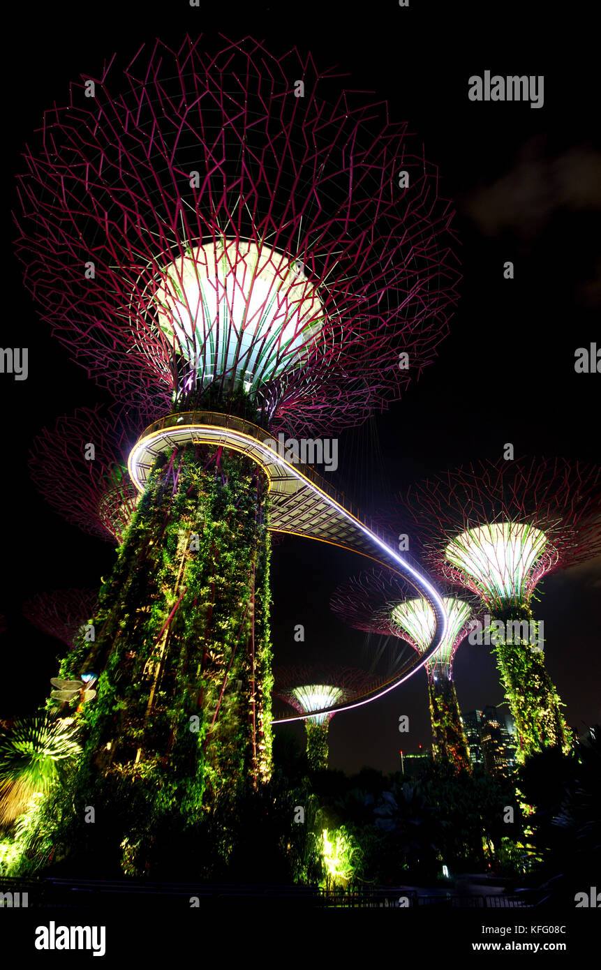 Bei supertree Grove Gardens by the Bay in Singapur Stockfoto