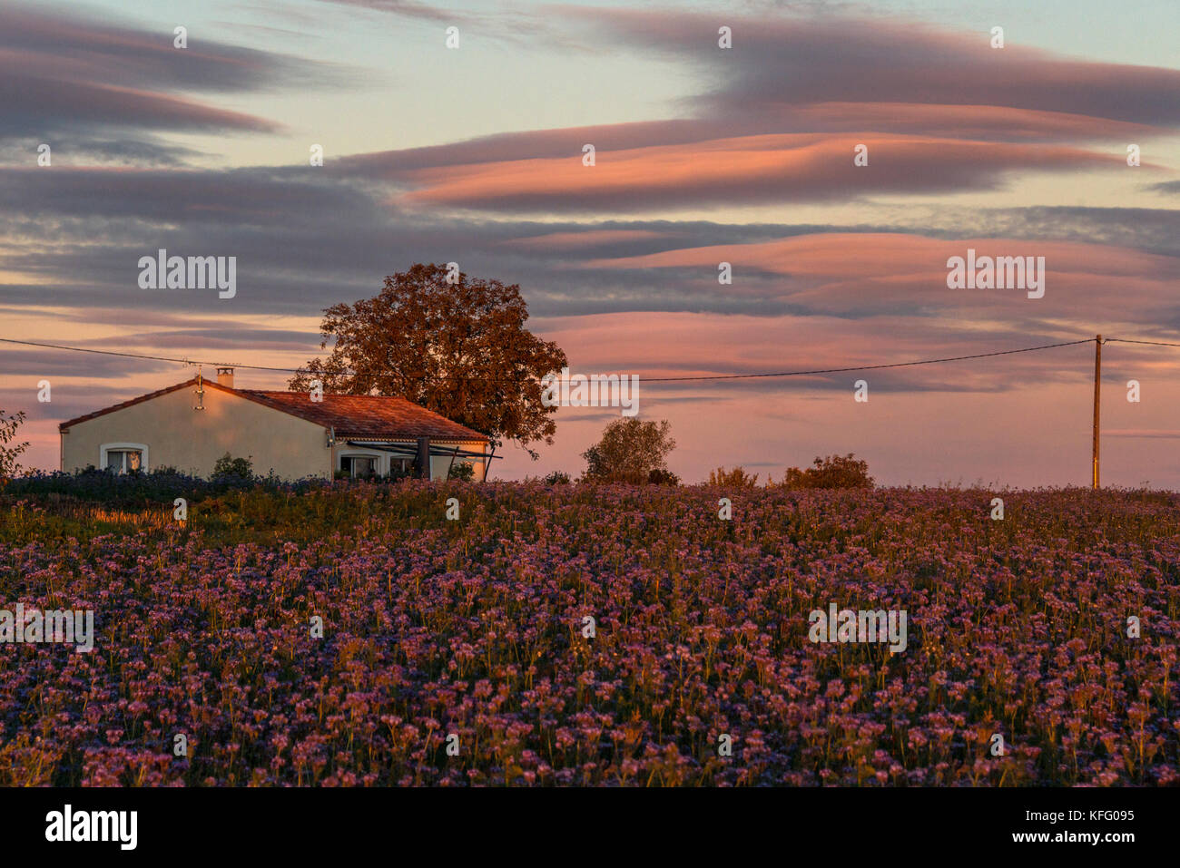 Ein pastell Sonnenuntergang Tönungen der Himmel über einem 50er französischen Bauernhaus. occitanie Region. Stockfoto