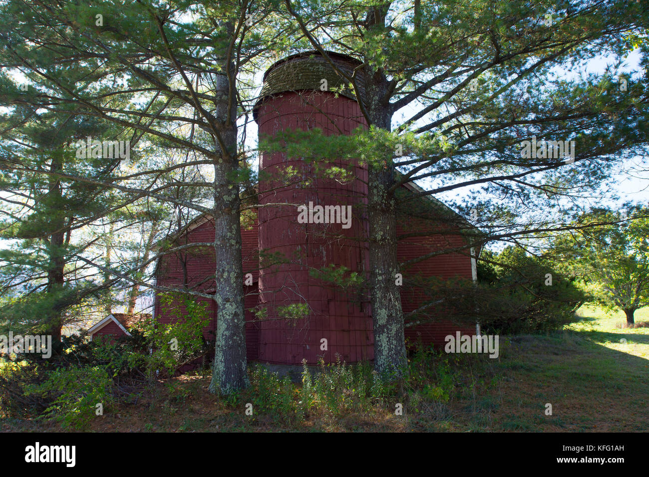 Mehrere valuesa Red Barn in den Kiefern in der Nähe von Manchester, Vermont, USA Stockfoto