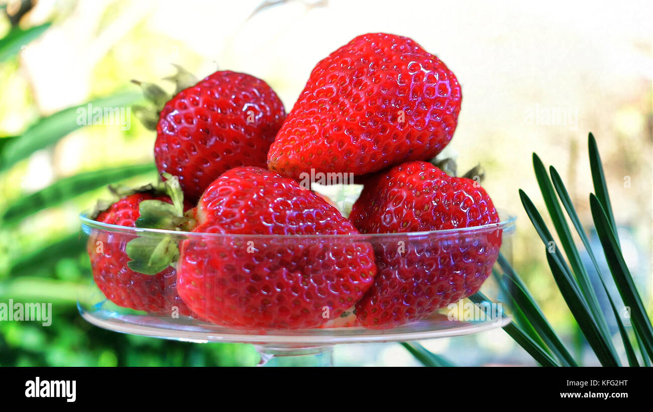 Erdbeeren im Glas Schüssel closeup draußen in den tropischen Garten. Stockfoto