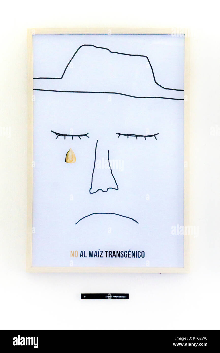 1. Preisträger gegen GVO-mexikanischen Protest Plakat zeigt hervorragende einzelne Linie zeichnen von traurigen Mann mit Tropfen gelber Mais Getreide unter einer Träne Stockfoto