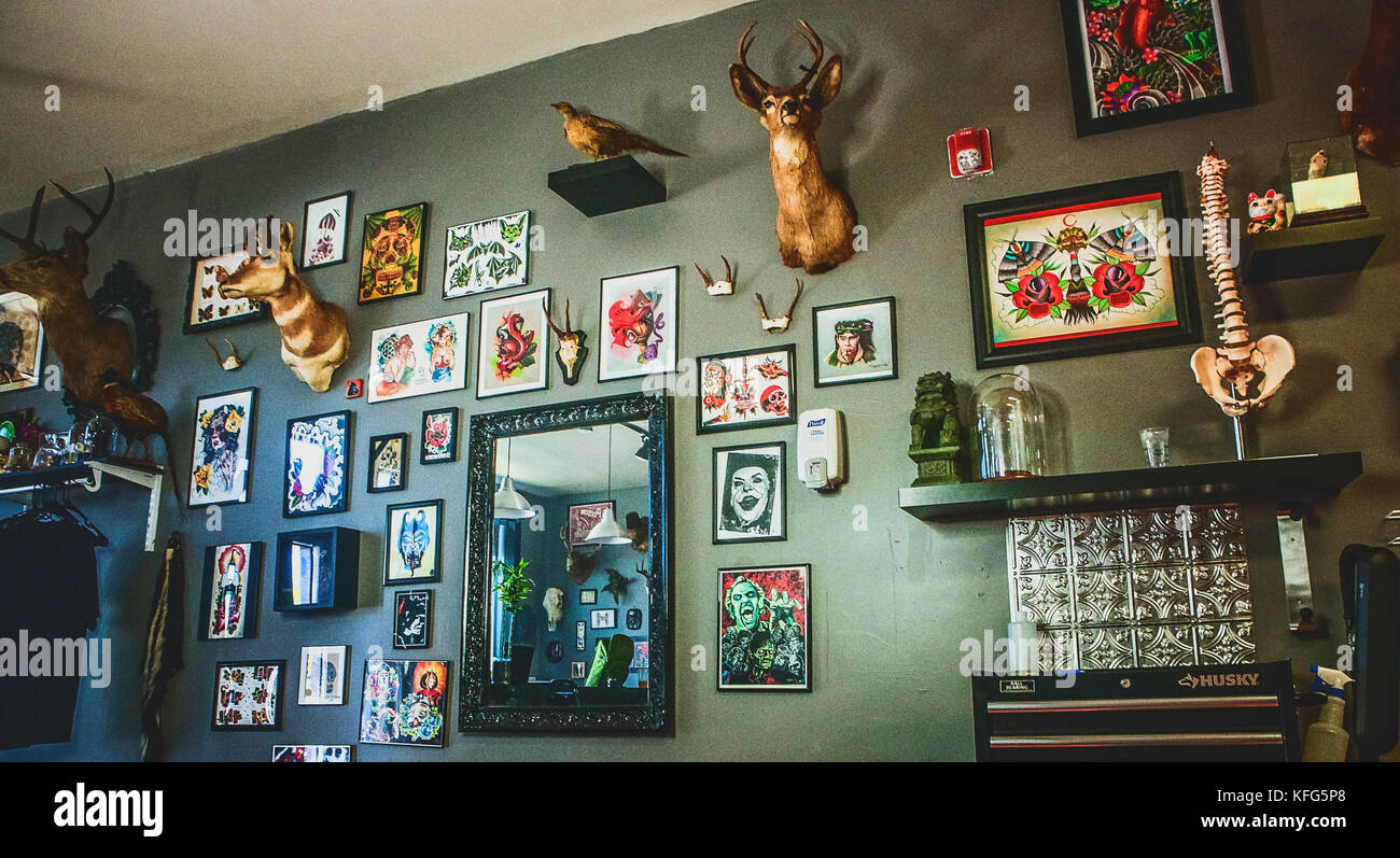 Eklektische Sammlung zufällig Kunst, die Anatomie von Tieren und TAXIDERMY an der Wand hängen. Stockfoto
