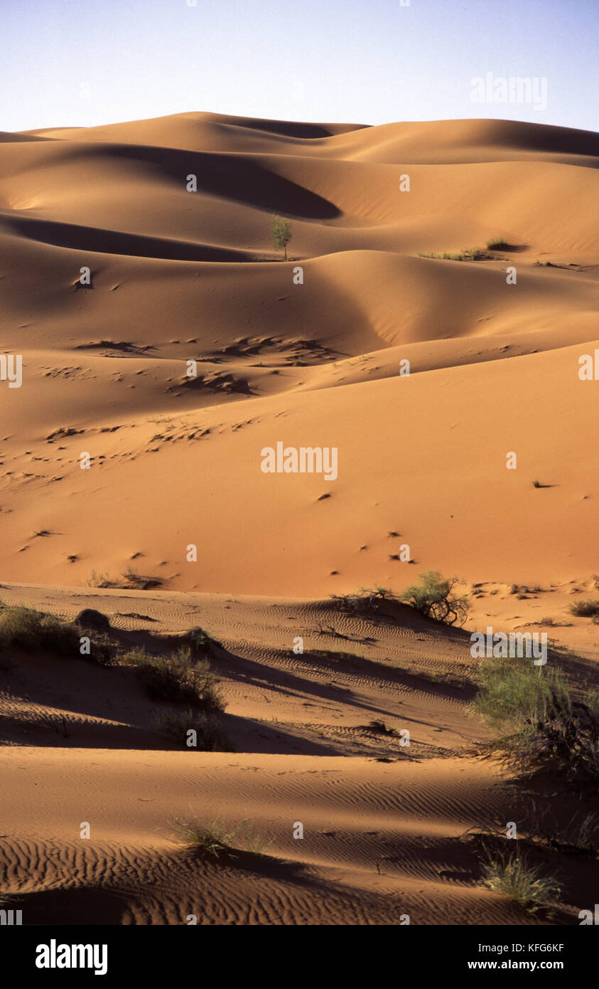 Massive roten Sanddünen an der Saudi Aramco shaybah, einem großen Gas-, Öl- und Produktionsstätte in das Leere Viertel Wüste Saudi Arabiens, in der Nähe der Grenze zu den Vereinigten Arabischen Emiraten. Stockfoto