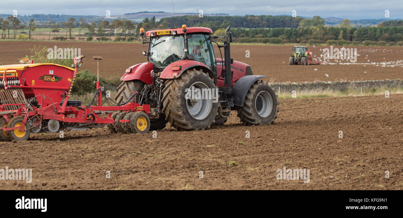 Bodenbearbeitung und Aussaat auf einer britischen Farm, Britail, Großbritannien Stockfoto