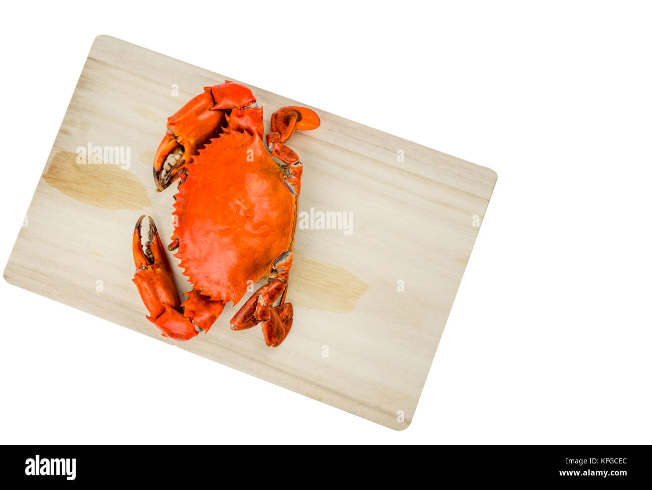 Blick von oben auf die scylla serrata. Eine gedämpfte Krabben auf Holz Schneidebrett auf weißem Hintergrund mit Kopie Raum isoliert. Meeresfrüchte Restaurants Konzept. Stockfoto