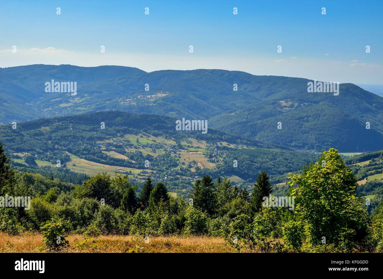 Sommer Bergwelt. schönen grünen Spitzen an einem sonnigen Tag. Stockfoto