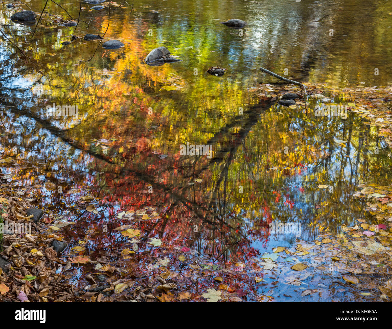 Eine bunte Collage der Blätter im Herbst in die Wellen des West Branch der kleine Fluss in Stowe, Vermont Stockfoto