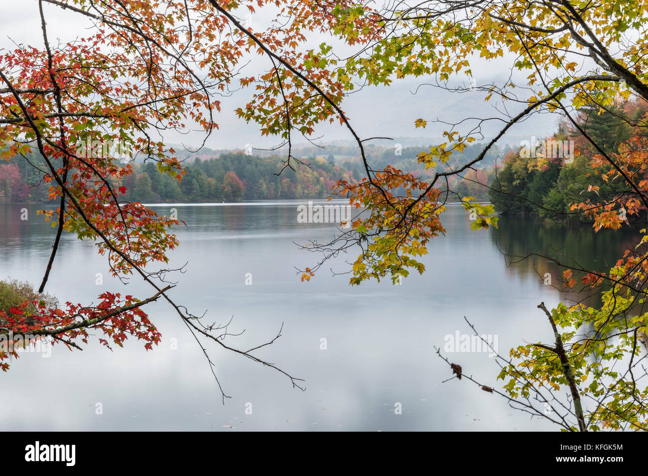 Eine ruhige nebligen Herbst morgen auf die waterbury Reservoir in Waterbury, Vermont. Stockfoto