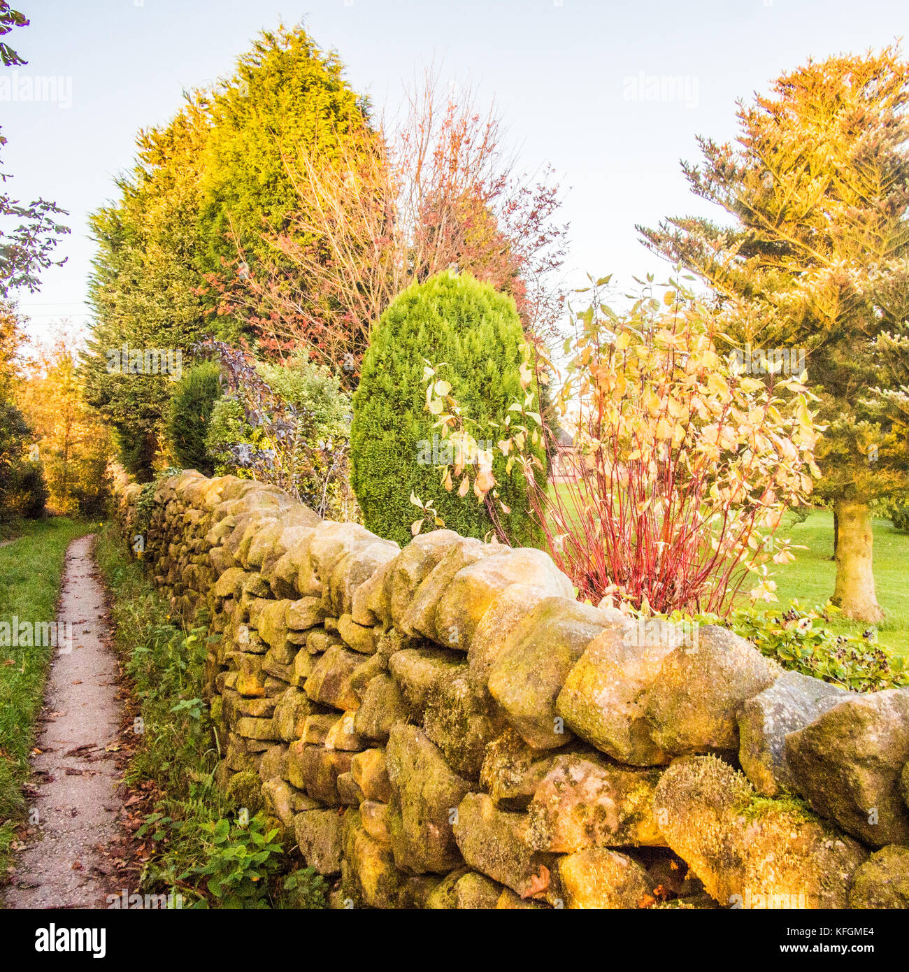 Trockenmauer & Felder im Biddulph, Staffordshire, England Stockfoto